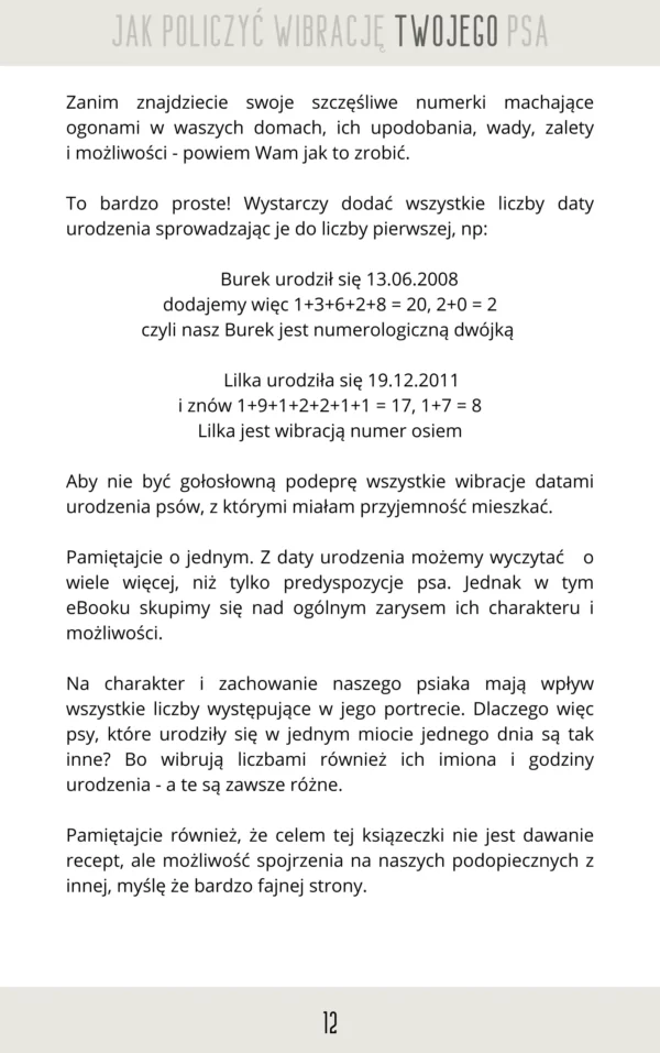 NIEZŁY NUMER czyli PSIA NUMEROLOGIA eBook - obrazek 3