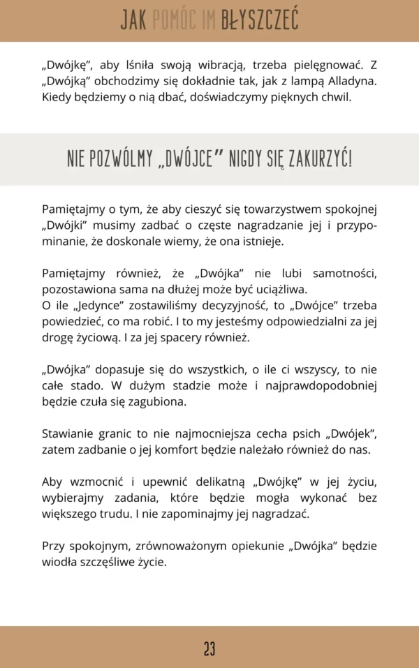 NIEZŁY NUMER czyli PSIA NUMEROLOGIA eBook - obrazek 4